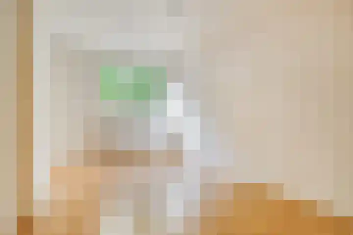 Vrije Geer 21 Amsterdam thumbnail 8