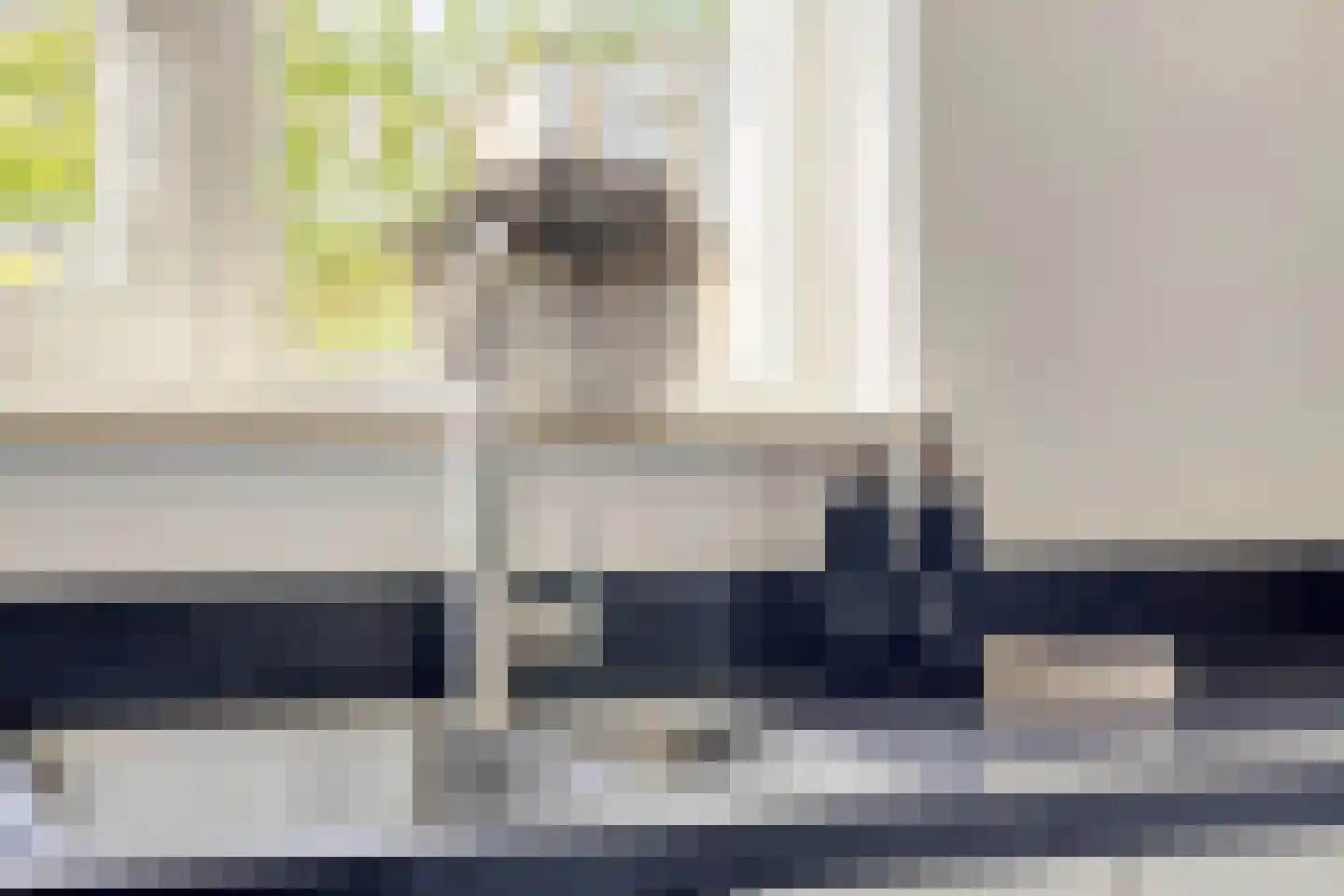 Vrije Heerlijkheid 69 Assendelft thumbnail 10