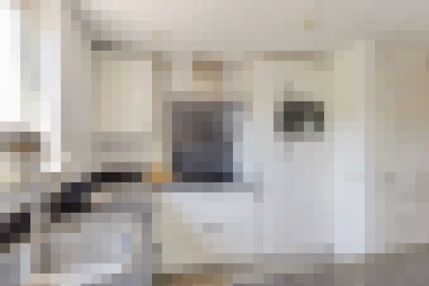 Vrije Heerlijkheid 69 Assendelft thumbnail 11