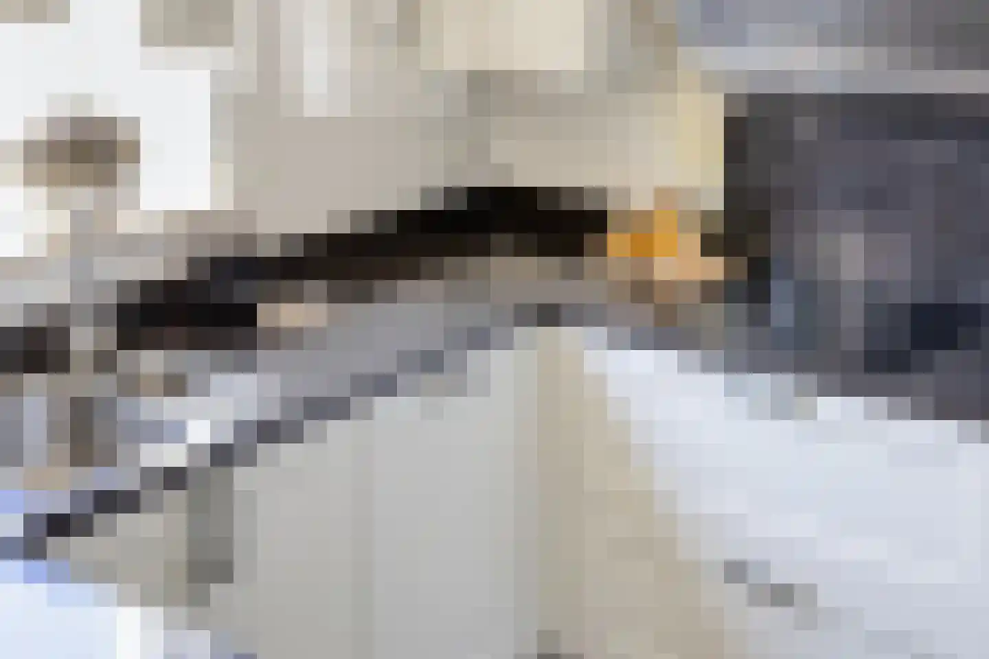 Vrije Heerlijkheid 69 Assendelft thumbnail 12