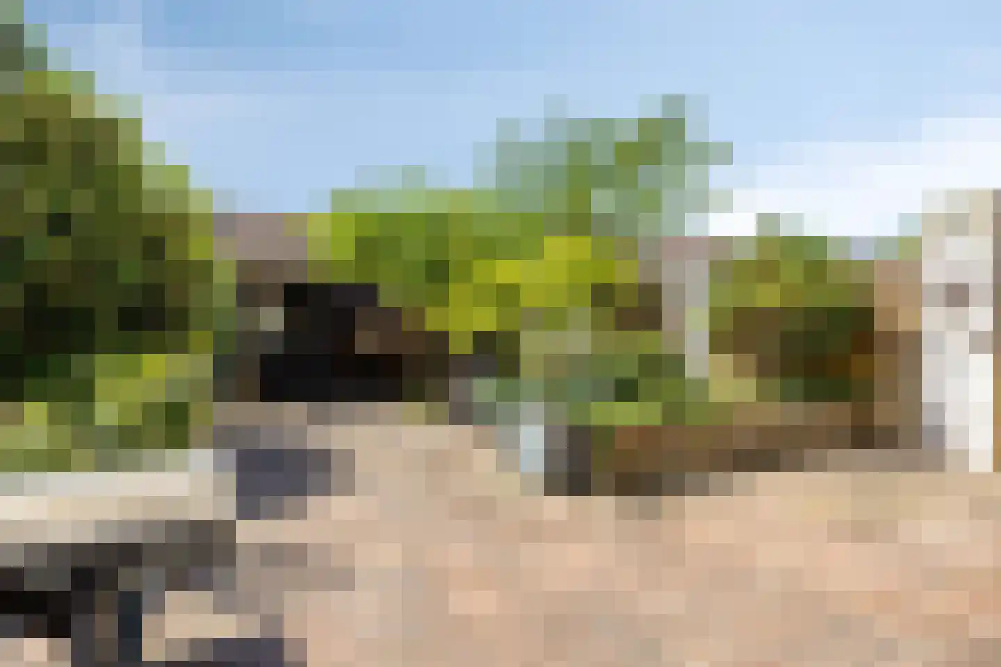 Vrije Heerlijkheid 69 Assendelft thumbnail 13