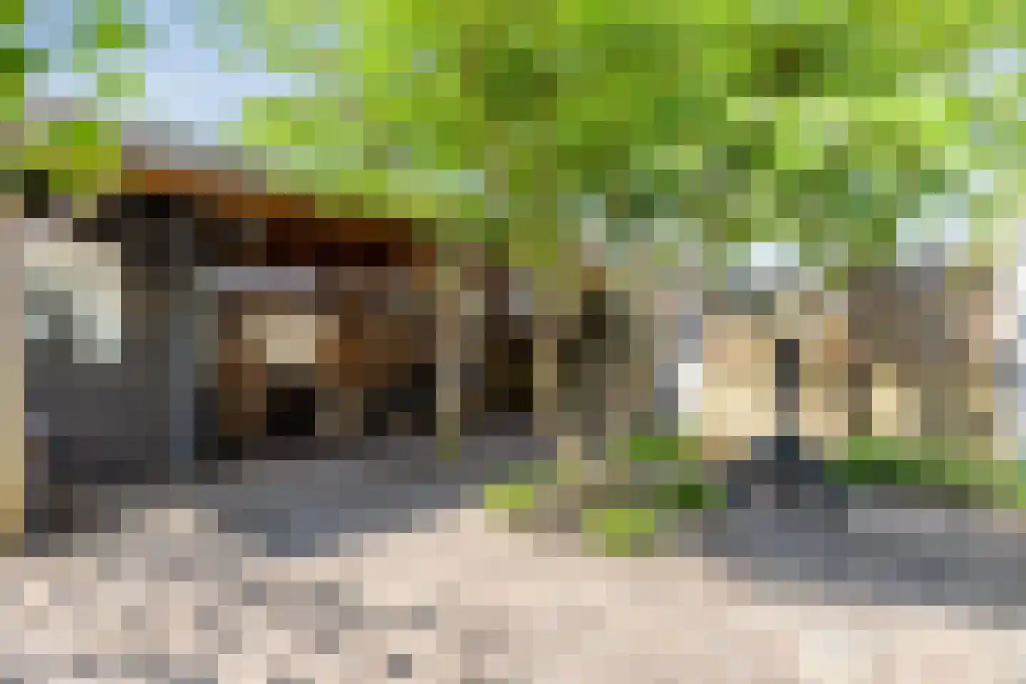 Vrije Heerlijkheid 69 Assendelft thumbnail 14
