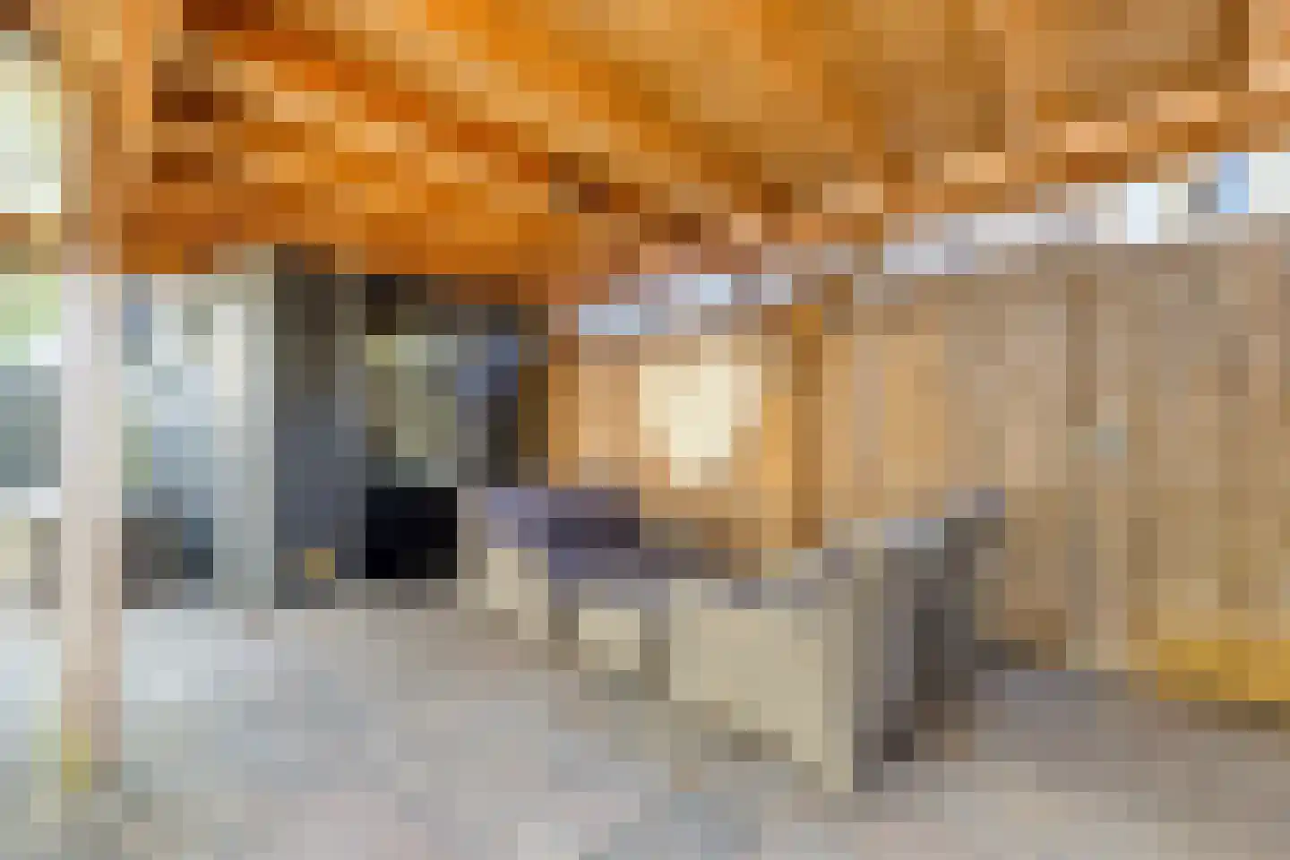 Vrije Heerlijkheid 69 Assendelft thumbnail 15