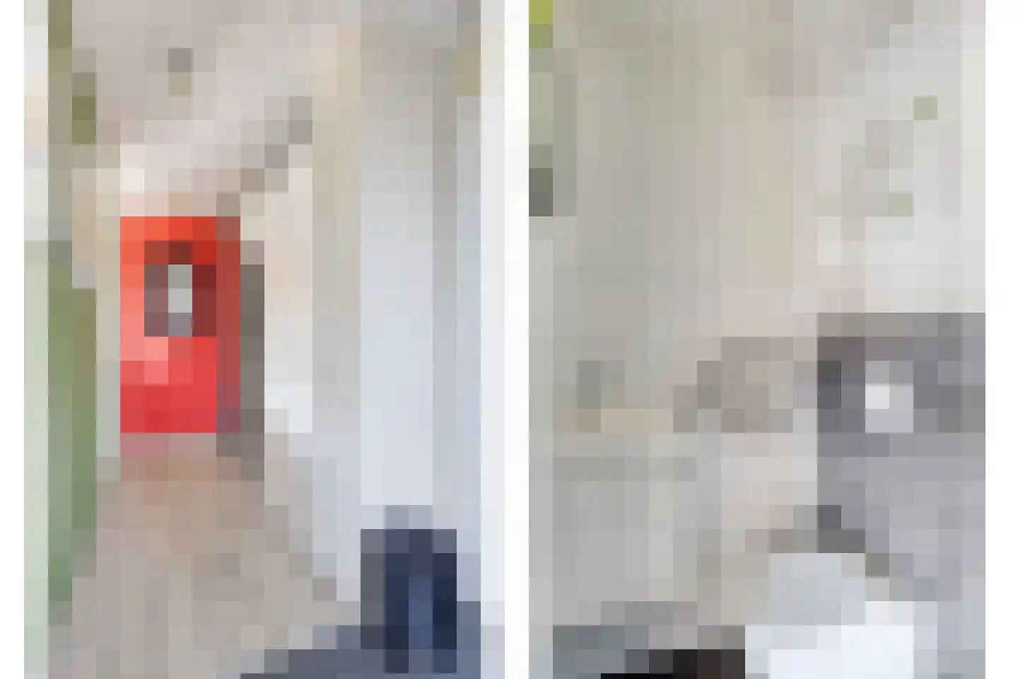 Vrije Heerlijkheid 69 Assendelft thumbnail 18