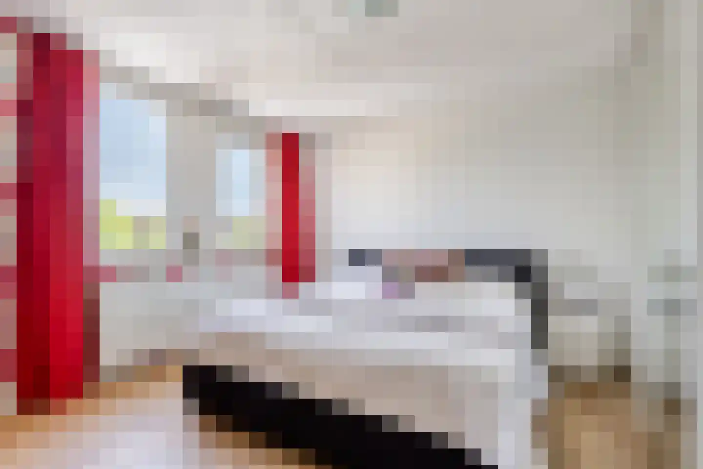 Vrije Heerlijkheid 69 Assendelft thumbnail 19
