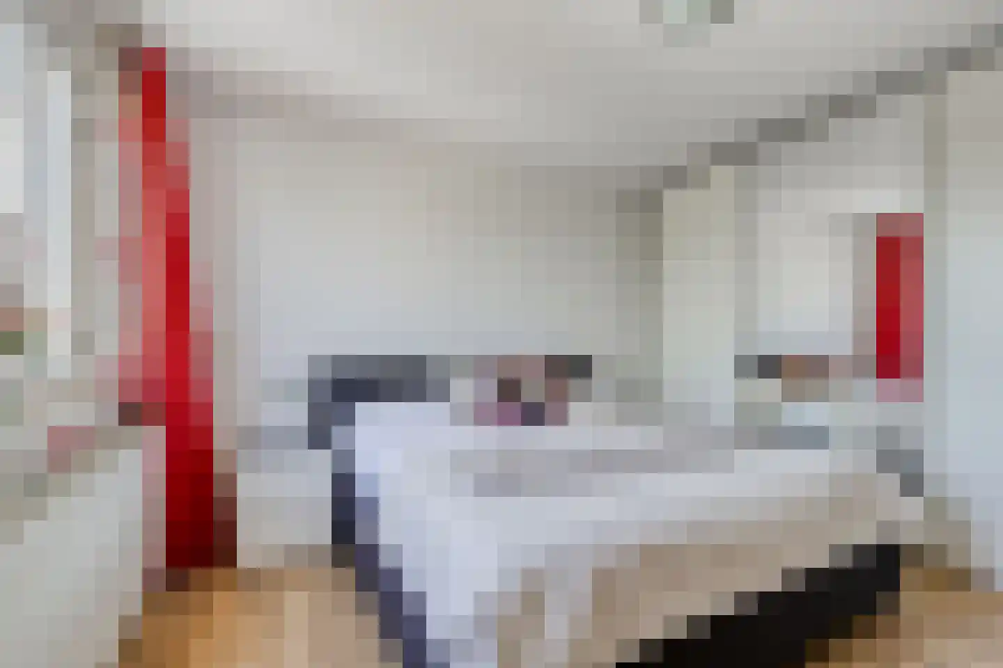 Vrije Heerlijkheid 69 Assendelft thumbnail 20