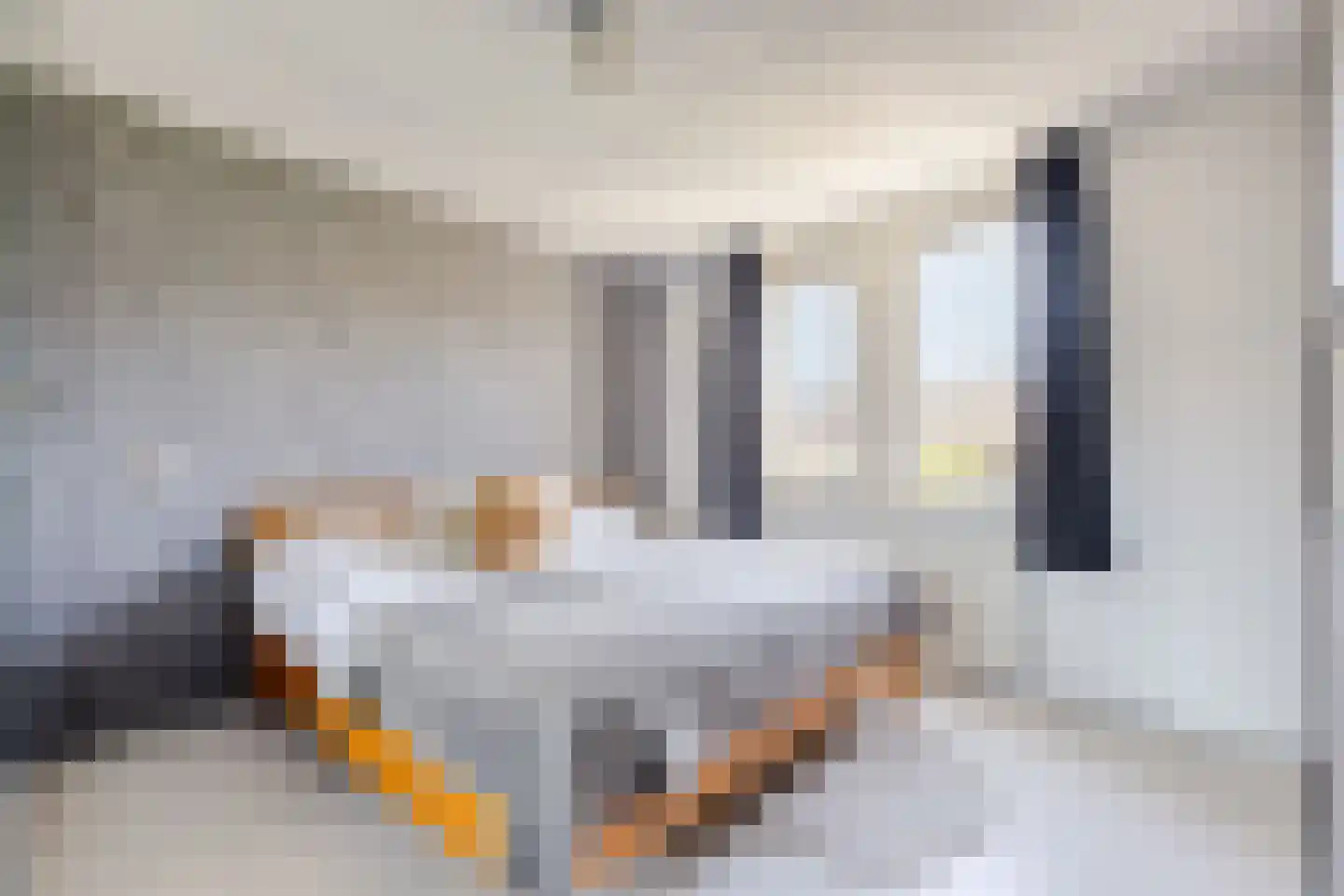 Vrije Heerlijkheid 69 Assendelft thumbnail 21