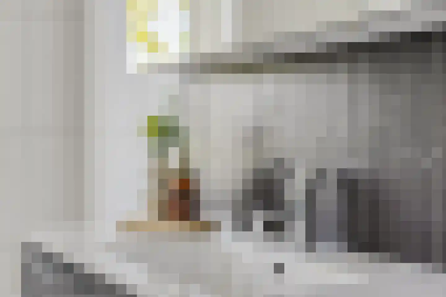 Vrije Heerlijkheid 69 Assendelft thumbnail 24