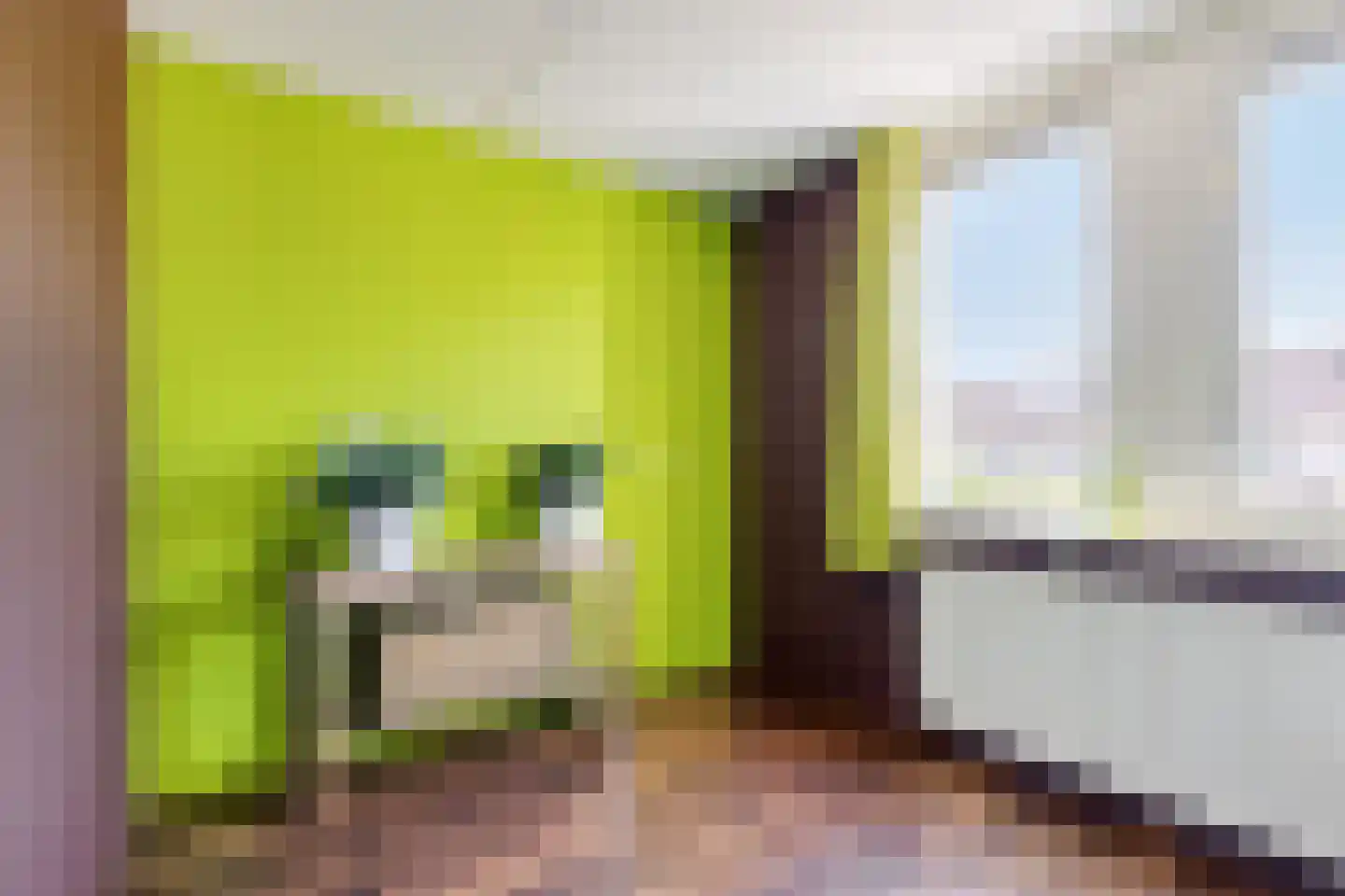 Vrije Heerlijkheid 69 Assendelft thumbnail 27