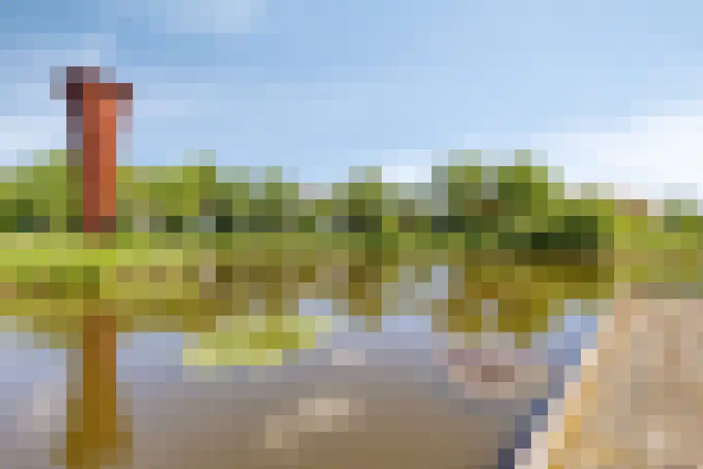 Vrije Heerlijkheid 69 Assendelft foto 3