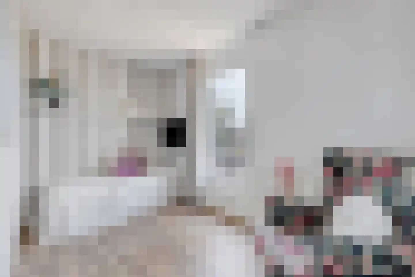 Vrije Heerlijkheid 69 Assendelft thumbnail 31