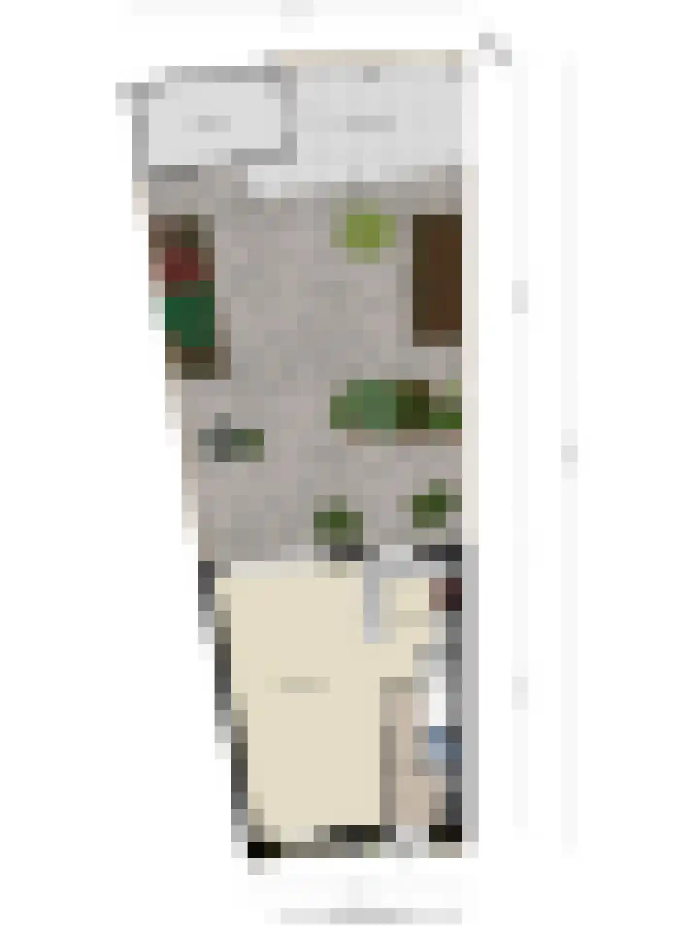 Vrije Heerlijkheid 69 Assendelft thumbnail 43