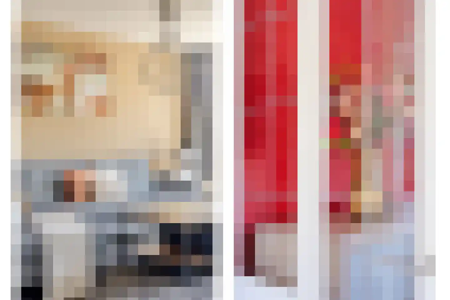 Vrije Heerlijkheid 69 Assendelft thumbnail 5