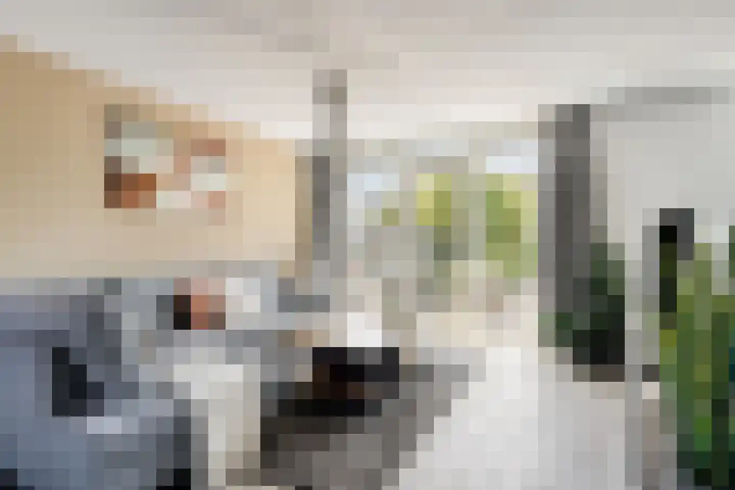 Vrije Heerlijkheid 69 Assendelft thumbnail 6