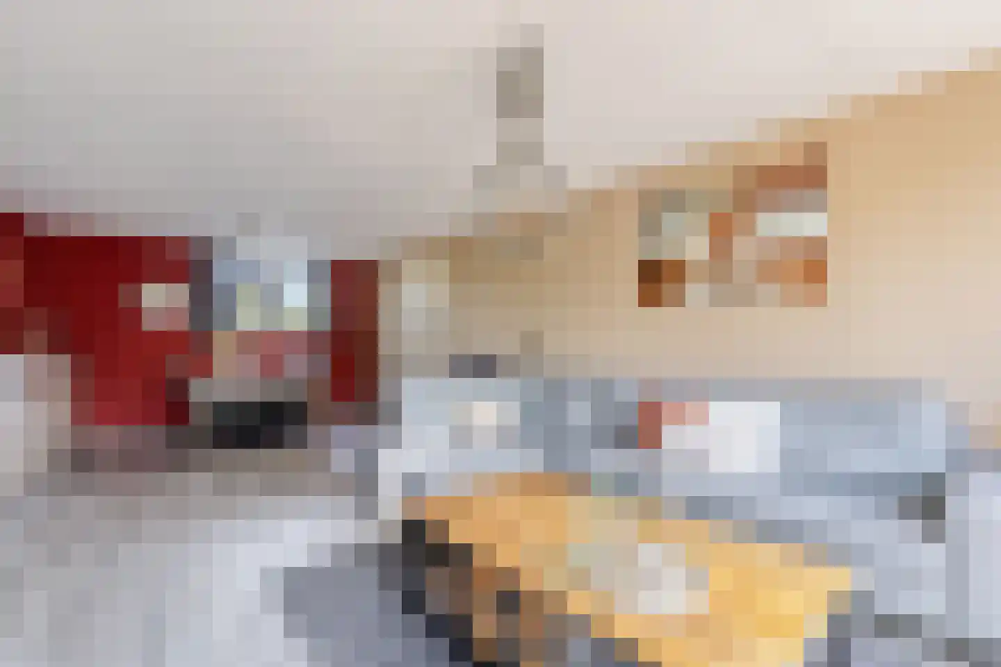 Vrije Heerlijkheid 69 Assendelft thumbnail 7