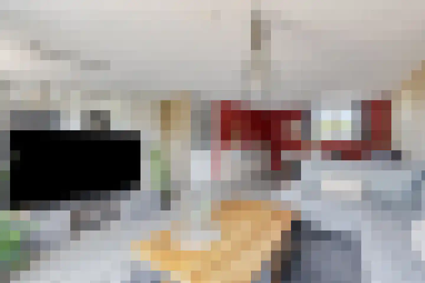 Vrije Heerlijkheid 69 Assendelft thumbnail 8