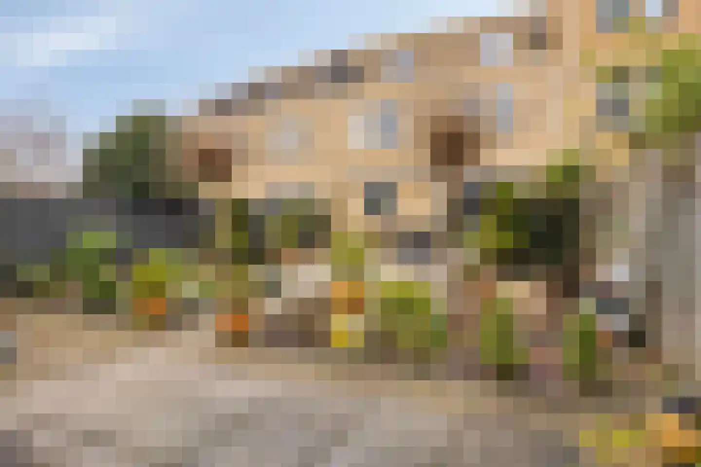 Vrije Heerlijkheid 71 Assendelft thumbnail 12