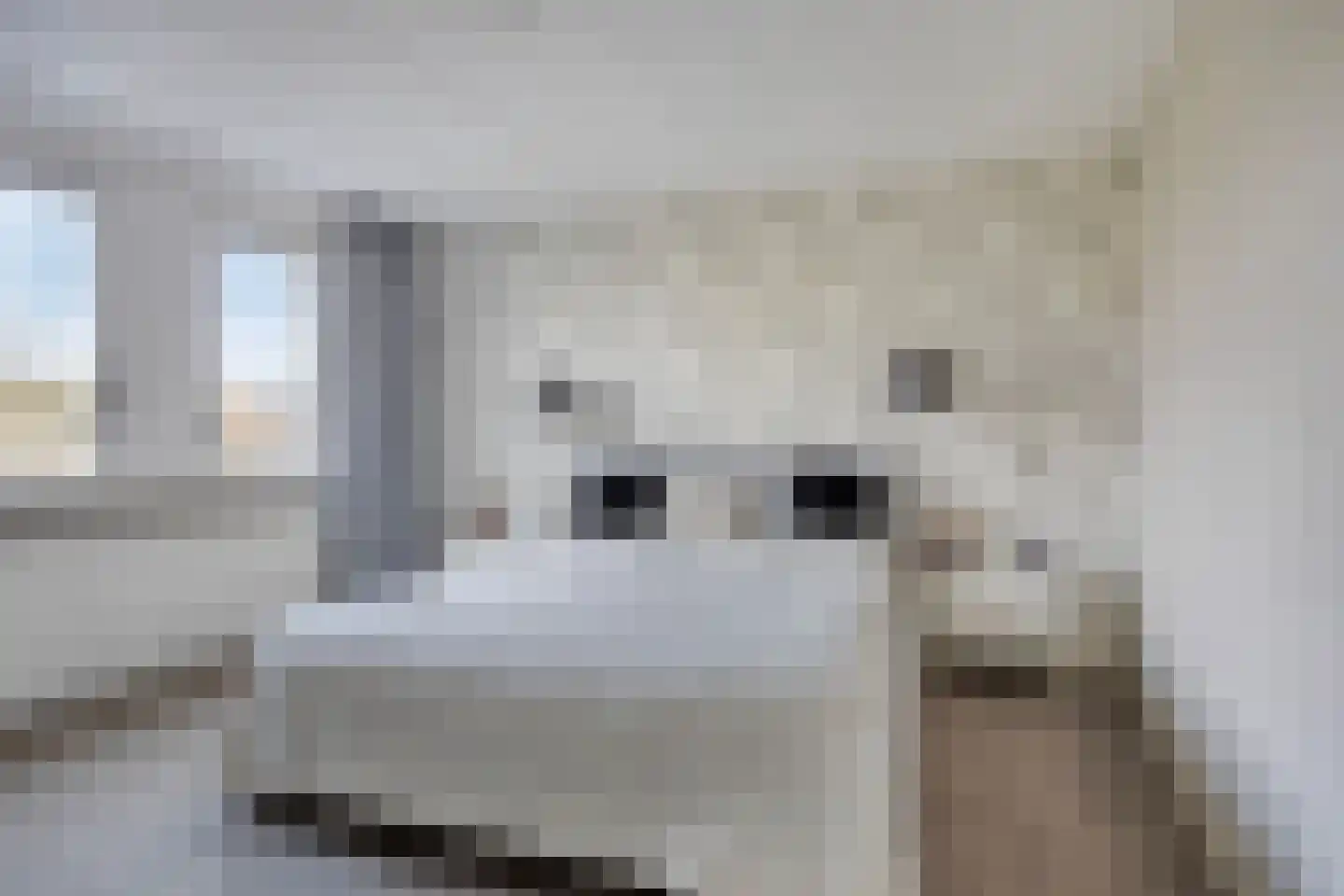 Vrije Heerlijkheid 71 Assendelft thumbnail 14
