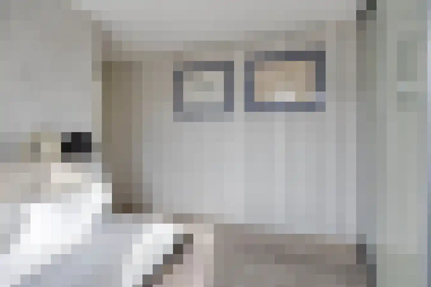 Vrije Heerlijkheid 71 Assendelft thumbnail 17