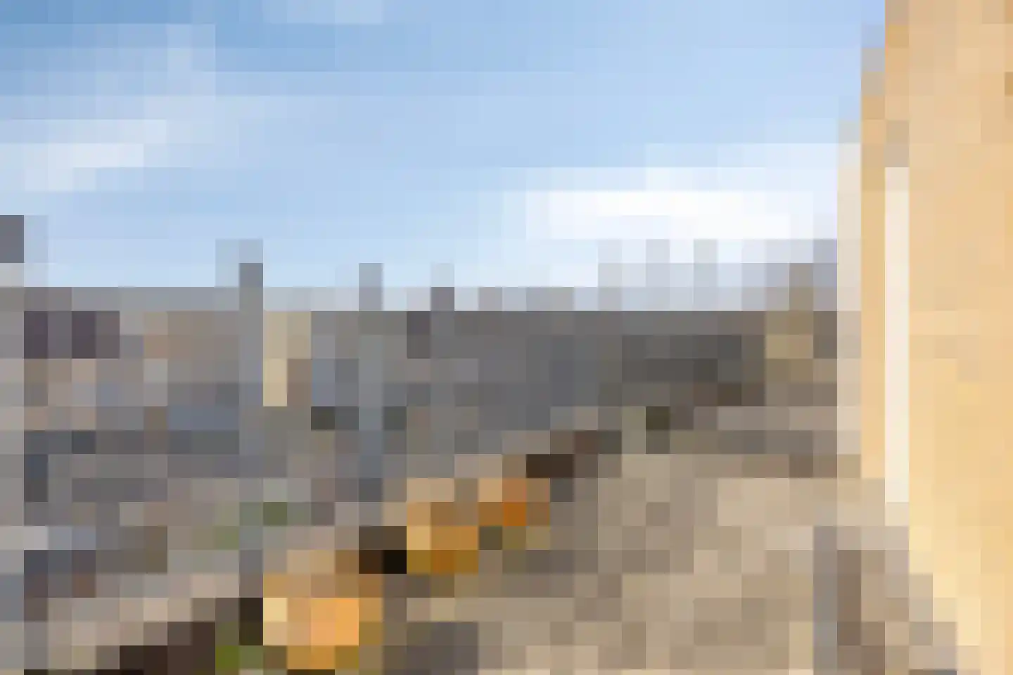 Vrije Heerlijkheid 71 Assendelft thumbnail 24