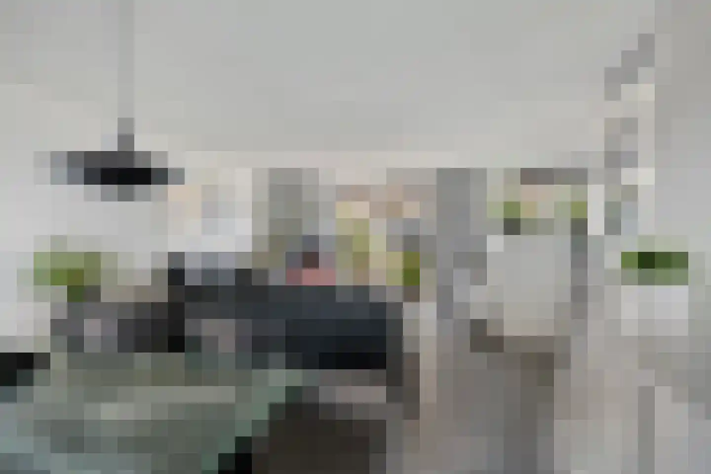 Vrije Heerlijkheid 71 Assendelft foto 3