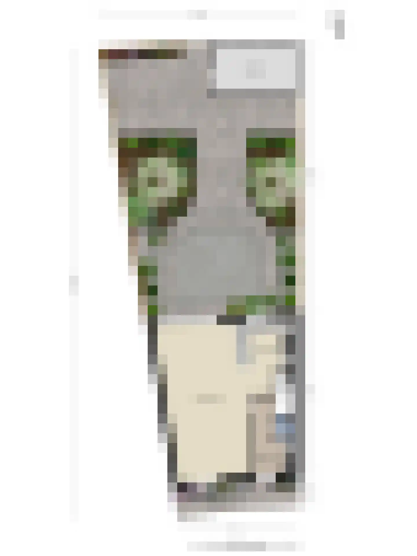 Vrije Heerlijkheid 71 Assendelft thumbnail 32