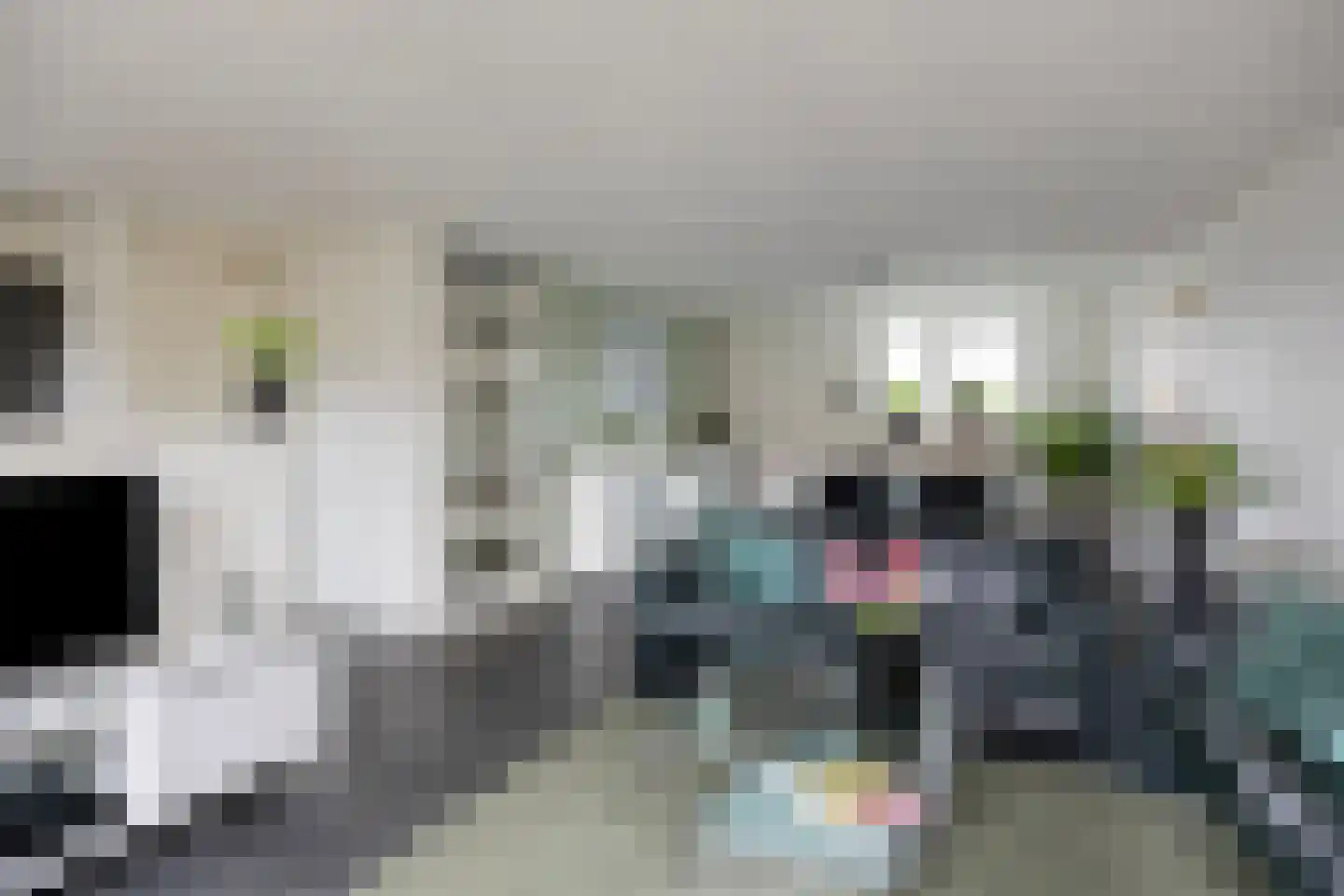 Vrije Heerlijkheid 71 Assendelft thumbnail 5