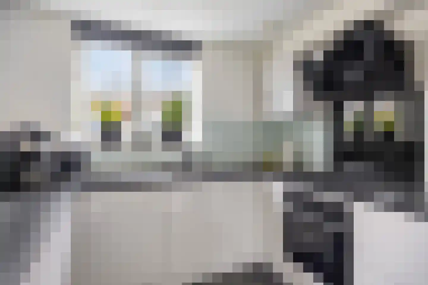 Vrije Heerlijkheid 71 Assendelft thumbnail 6