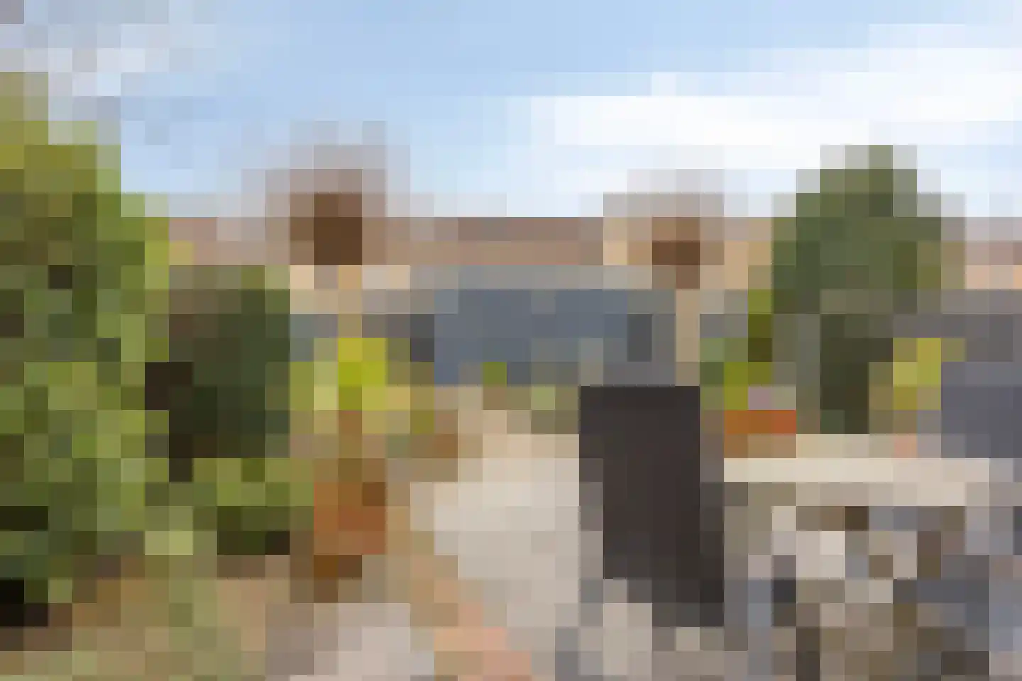 Vrije Heerlijkheid 71 Assendelft thumbnail 8