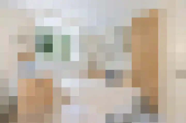 Vrije Heerlijkheid 77 Assendelft thumbnail 11