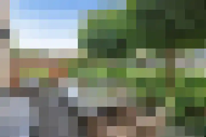 Vrije Heerlijkheid 77 Assendelft thumbnail 13
