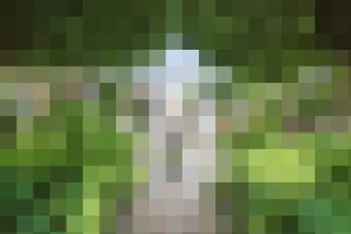 Vrije Heerlijkheid 77 Assendelft thumbnail 14