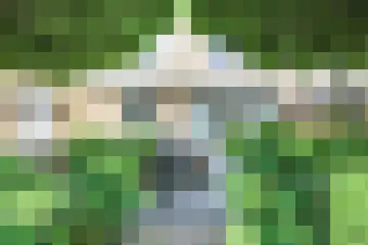 Vrije Heerlijkheid 77 Assendelft thumbnail 15
