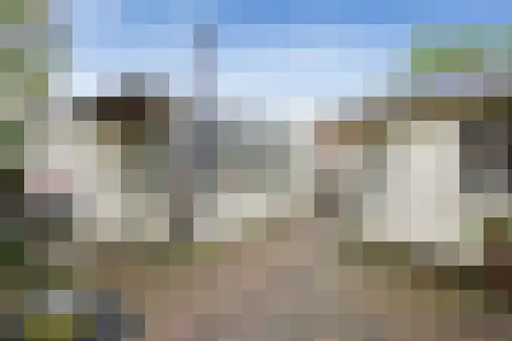 Vrije Heerlijkheid 77 Assendelft thumbnail 16