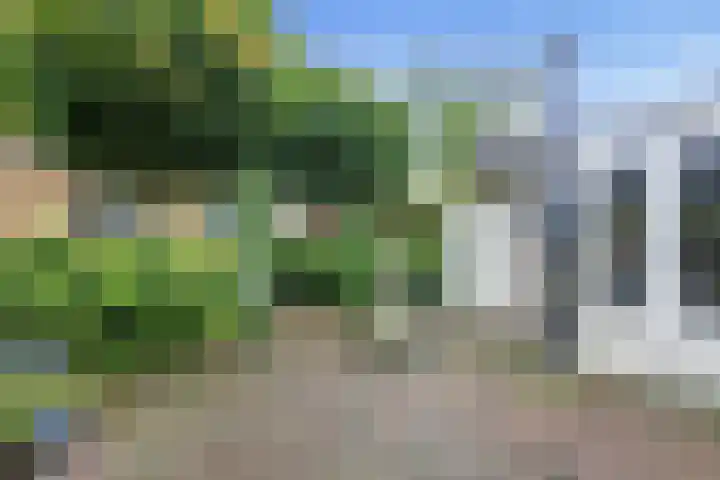Vrije Heerlijkheid 77 Assendelft thumbnail 17