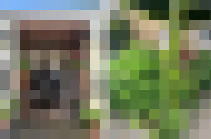 Vrije Heerlijkheid 77 Assendelft thumbnail 18