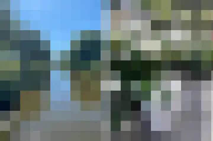 Vrije Heerlijkheid 77 Assendelft thumbnail 19