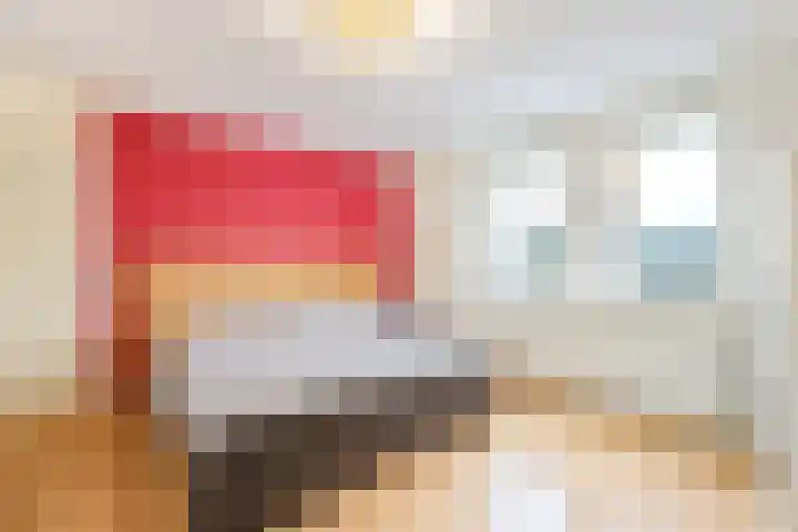 Vrije Heerlijkheid 77 Assendelft thumbnail 23