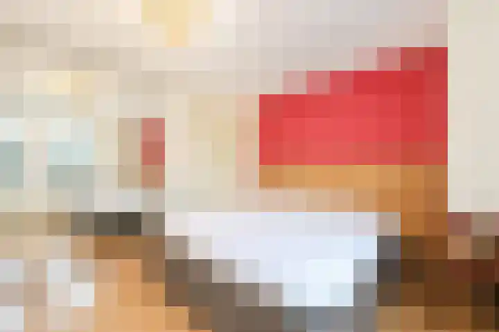Vrije Heerlijkheid 77 Assendelft thumbnail 24