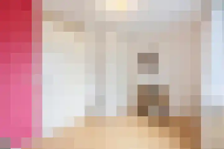 Vrije Heerlijkheid 77 Assendelft thumbnail 26