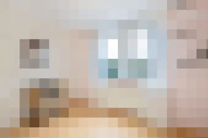 Vrije Heerlijkheid 77 Assendelft thumbnail 27