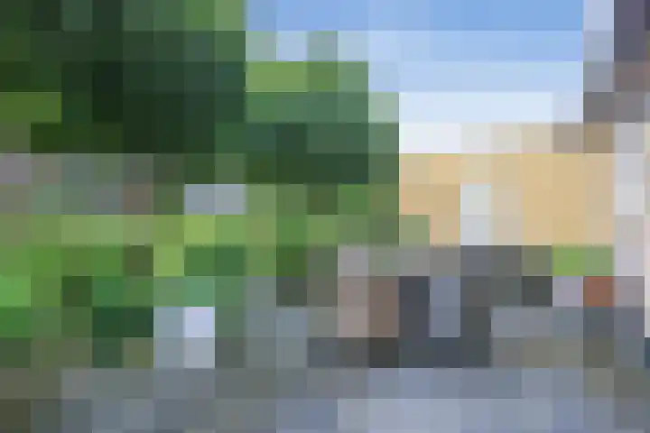 Vrije Heerlijkheid 77 Assendelft foto 3