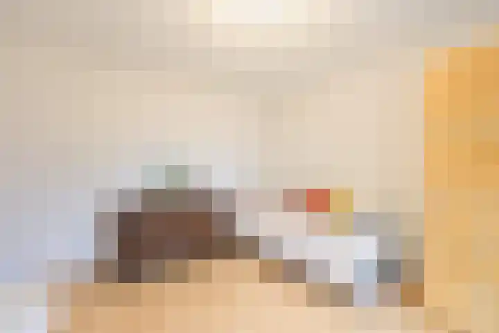 Vrije Heerlijkheid 77 Assendelft thumbnail 30