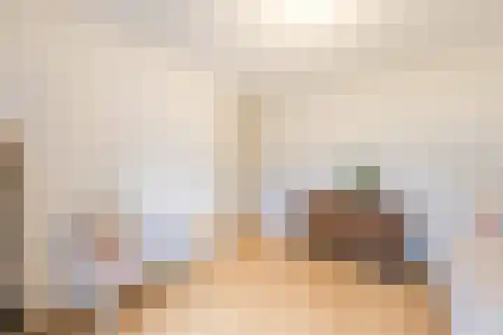 Vrije Heerlijkheid 77 Assendelft thumbnail 31