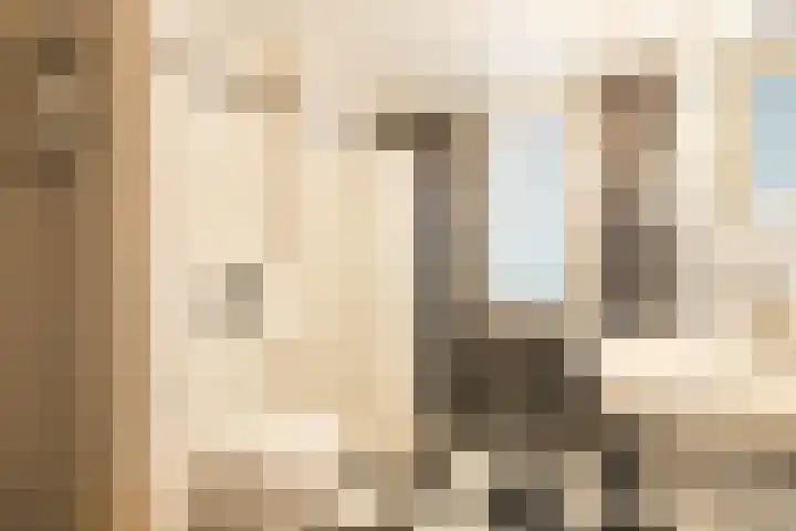 Vrije Heerlijkheid 77 Assendelft thumbnail 32