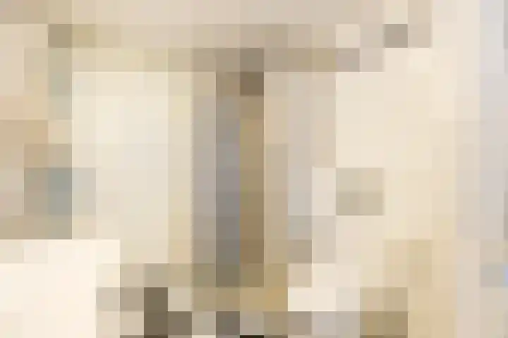 Vrije Heerlijkheid 77 Assendelft thumbnail 33