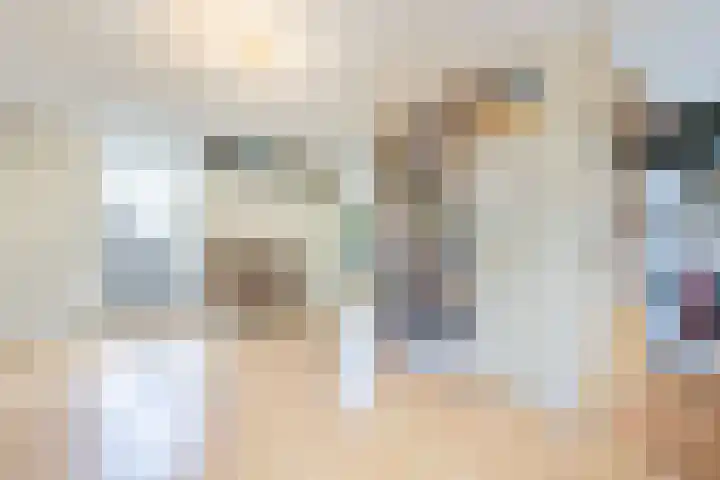 Vrije Heerlijkheid 77 Assendelft thumbnail 37