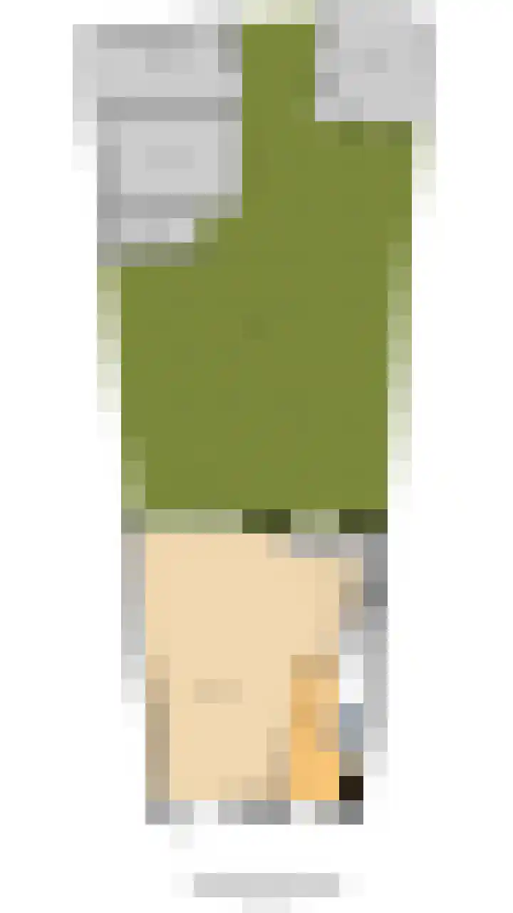Vrije Heerlijkheid 77 Assendelft thumbnail 38