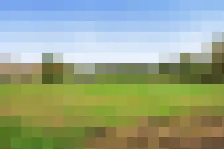 Vrije Heerlijkheid 77 Assendelft thumbnail 4