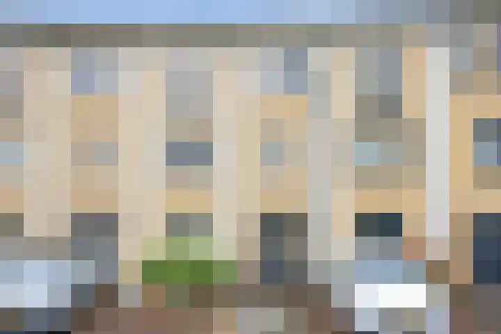 Vrije Heerlijkheid 77 Assendelft thumbnail 5